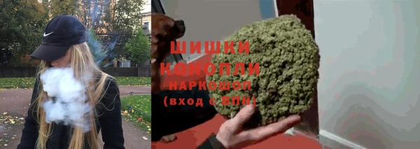 ПСИЛОЦИБИНОВЫЕ ГРИБЫ Магас