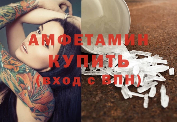 ПСИЛОЦИБИНОВЫЕ ГРИБЫ Магас
