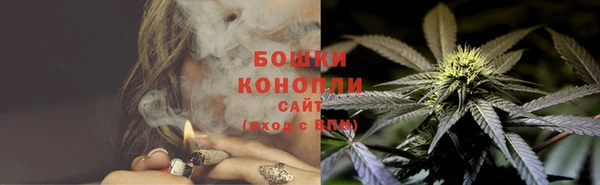 ПСИЛОЦИБИНОВЫЕ ГРИБЫ Магас