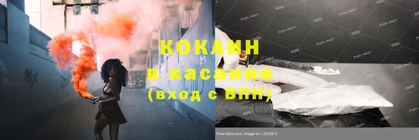 ПСИЛОЦИБИНОВЫЕ ГРИБЫ Магас