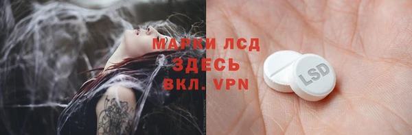 ПСИЛОЦИБИНОВЫЕ ГРИБЫ Магас