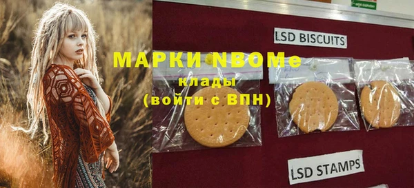 ПСИЛОЦИБИНОВЫЕ ГРИБЫ Магас