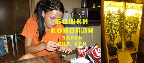 мяу мяу мука Майский