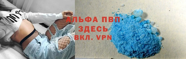 ПСИЛОЦИБИНОВЫЕ ГРИБЫ Магас